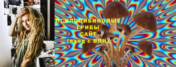 мдпв Майский