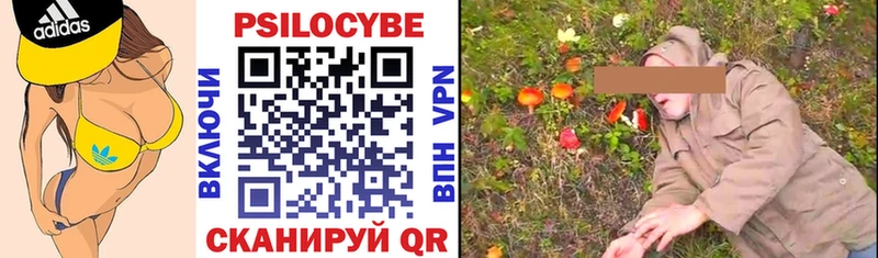 Галлюциногенные грибы MAGIC MUSHROOMS  что такое   OMG ССЫЛКА  Новоульяновск 